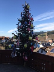 34596AF6-71C4-4EA7-9B10-AF5B11F36E9F